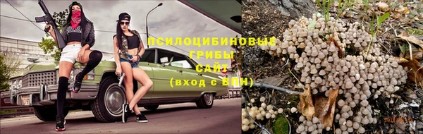 соль ск Белоозёрский