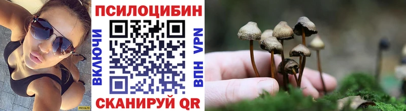закладки  Михайловка  Галлюциногенные грибы Psilocybine cubensis 